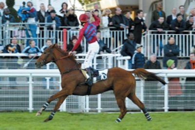 Pronostic PMU gagnant avec Alphaturf Logo du site Alpharturf : pronostics pmu rentables